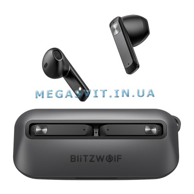 Наушники BlitzWolf BW-FPE1 black